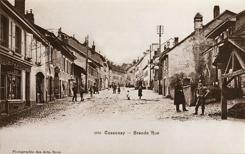basgrdrue2