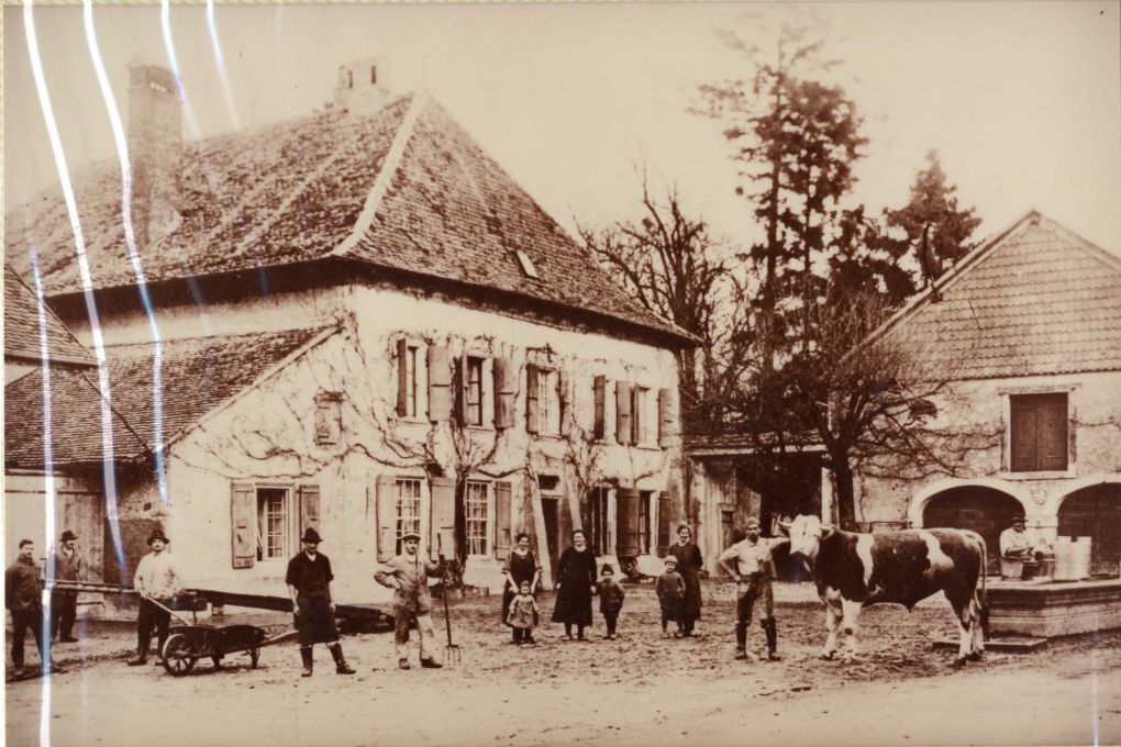 cossonay