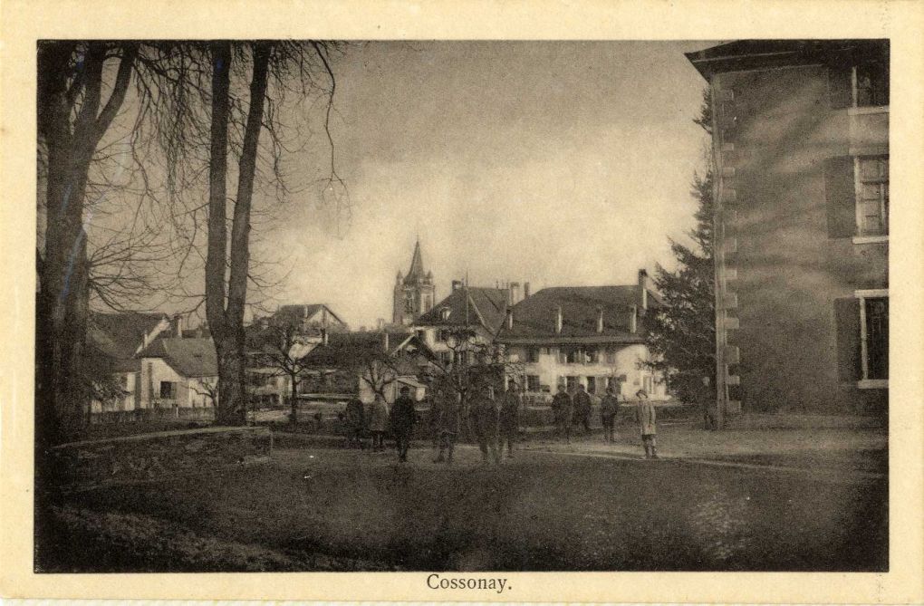 cossonay les chavannes les marroniers088