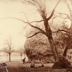 cossonay une meule de taille102