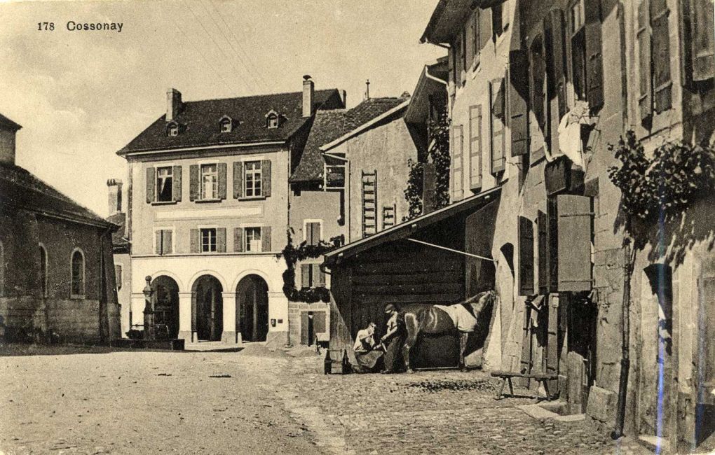 cossonay050
